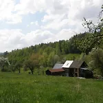Koko Ryku Nowa Ruda