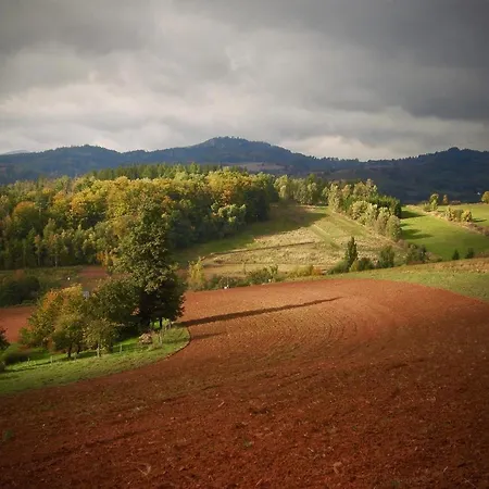 Alloggio per agriturismo Koko Ryku Nowa Ruda