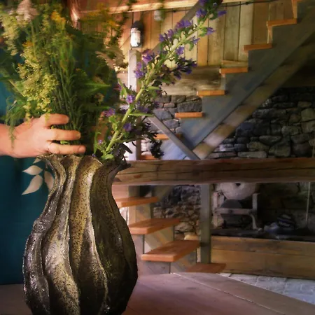 Koko Ryku * Nowa Ruda