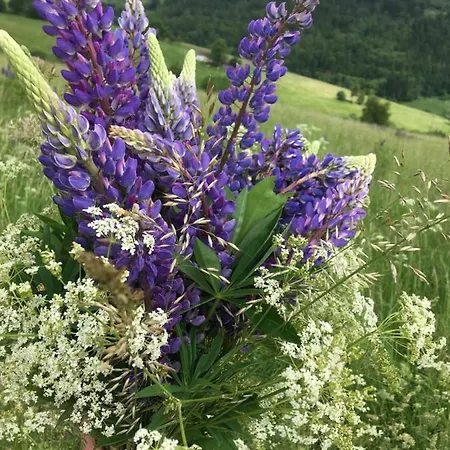 Alloggio per agriturismo Koko Ryku *