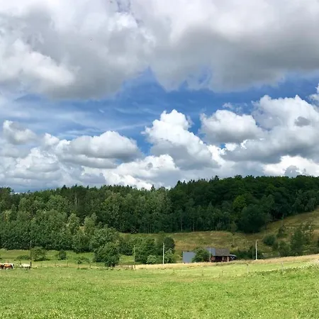 Koko Ryku