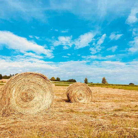 Alloggio per agriturismo Koko Ryku Nowa Ruda