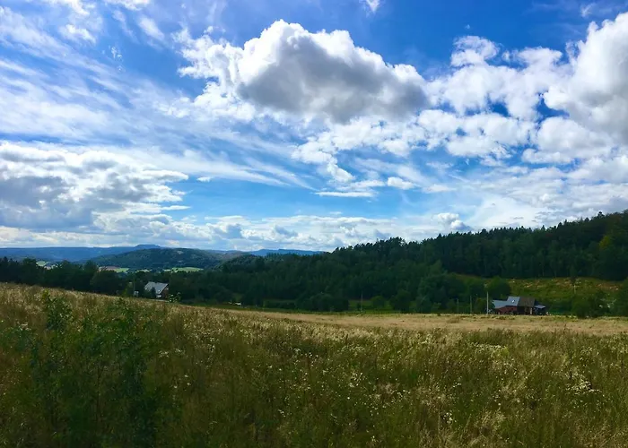 Koko Ryku * ノバ・ルダ