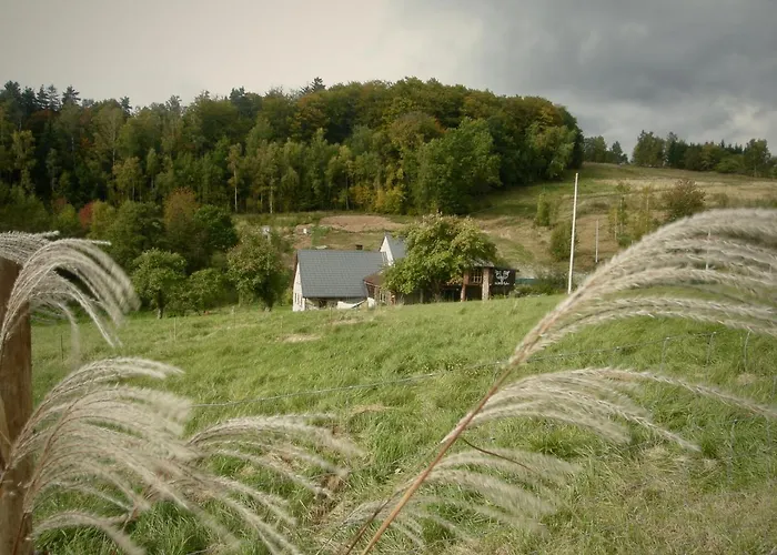 Koko Ryku * ノバ・ルダ