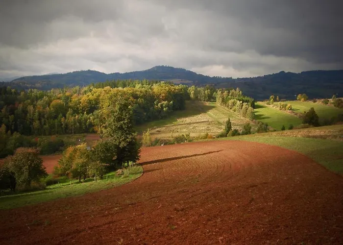 ファームステイ Koko Ryku ノバ・ルダ
