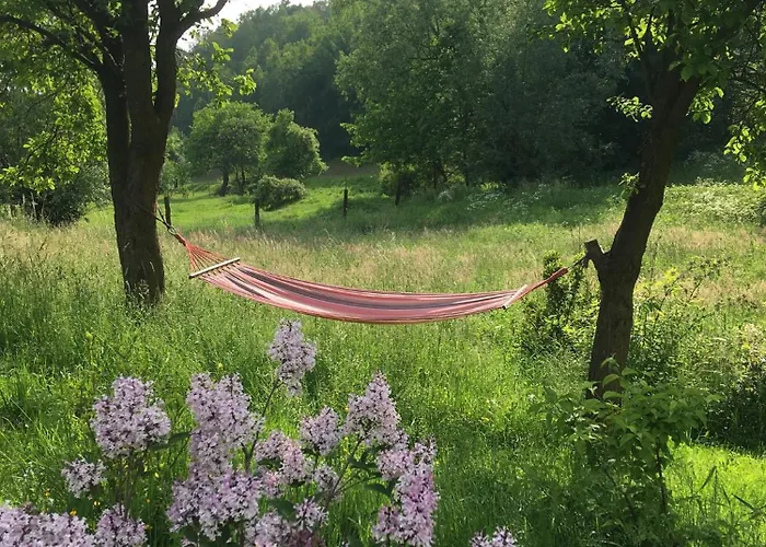 Koko Ryku ノバ・ルダ