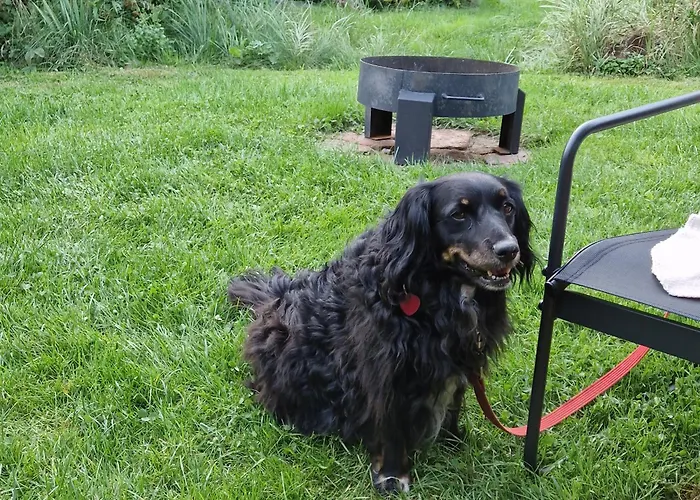 ファームステイ Koko Ryku