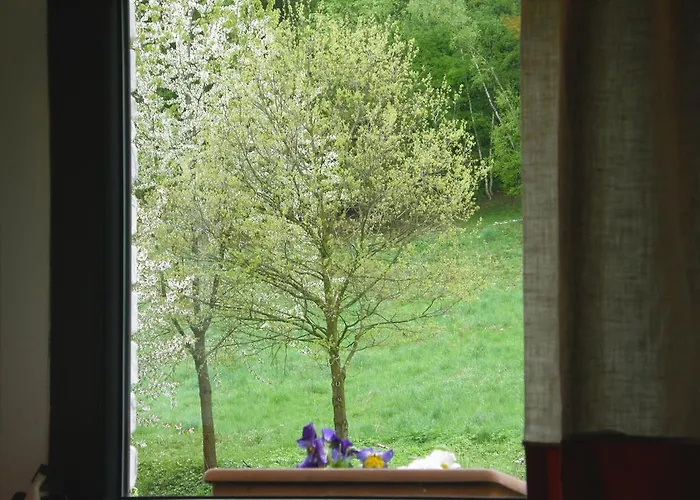 Koko Ryku ノバ・ルダ