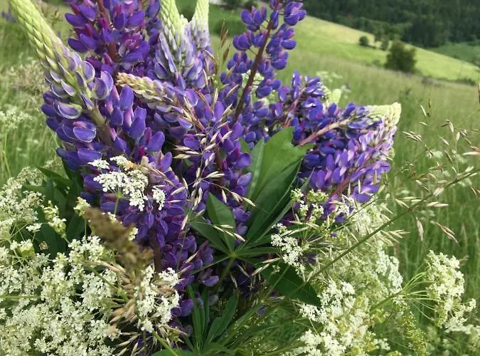 ファームステイ Koko Ryku *