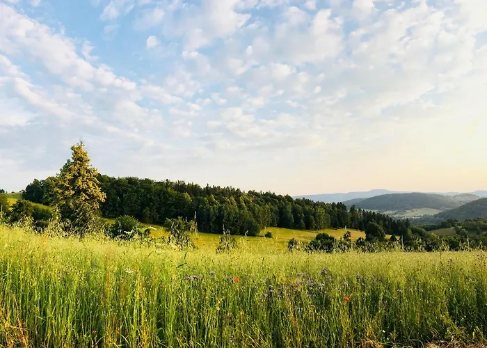 Koko Ryku ノバ・ルダ