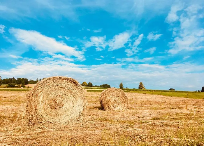 Gospodarstwo agroturystyczne Koko Ryku Nowa Ruda